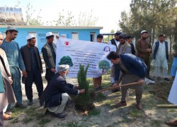 A sapling planting campaign was held in Kunduz province
